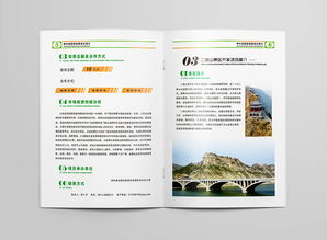 旅游開發(fā)項(xiàng)目畫冊設(shè)計招標(biāo)與策劃咨詢方案